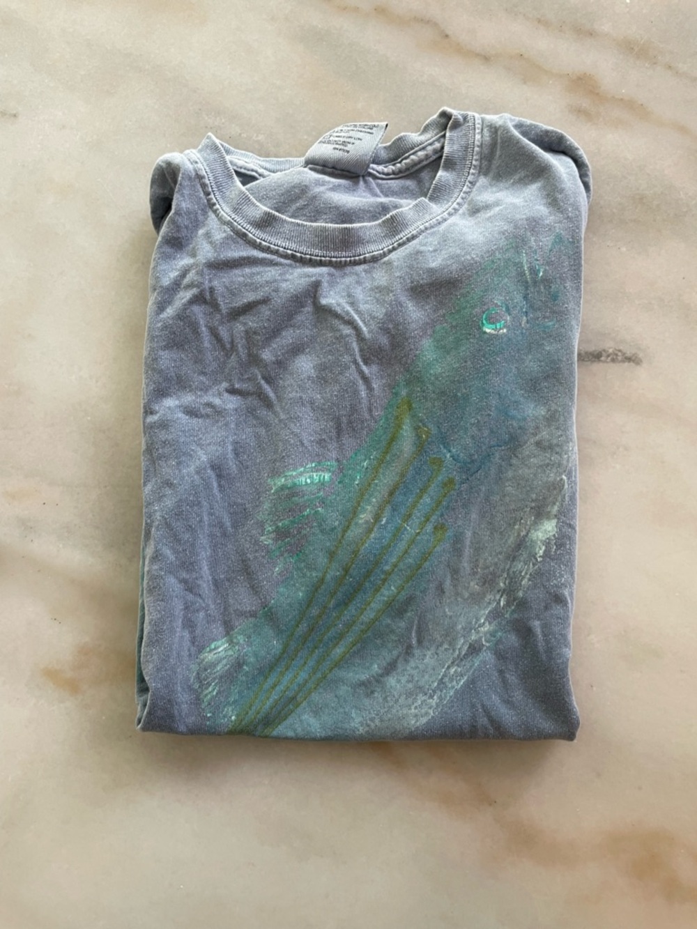 Men's Washed Blue Graphic Crewneck T-Shirt with fish stamp